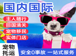 桂林航空物流国际宠物托运 【国